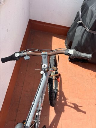 Bicicleta Junior RockRider Gris