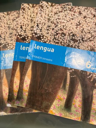Lengua 6 Primaria, Segundo trimestre