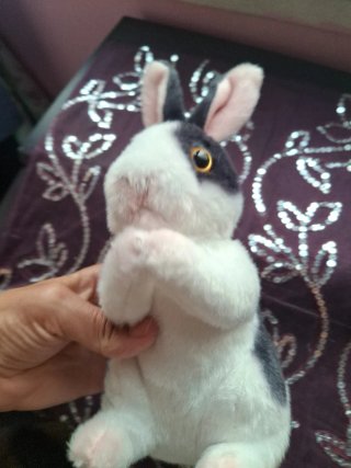 Peluche Conejo Rabbit Blanco y Negro