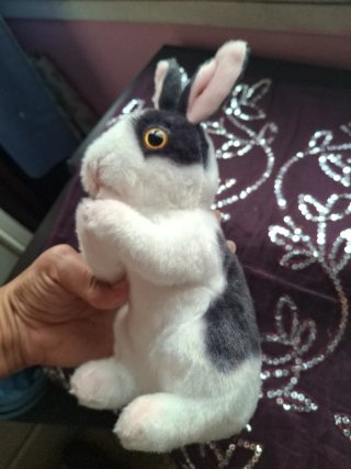 Peluche Conejo Rabbit Blanco y Negro