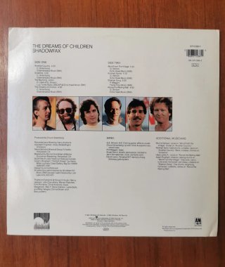 Vinilos Shadowfax _ precio unidad