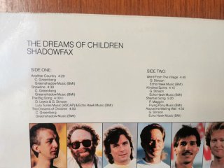 Vinilos Shadowfax _ precio unidad