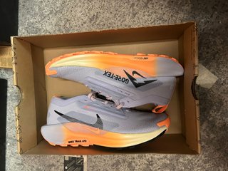 Nike Pegasus Trail 5 Gore-Tex Viola
