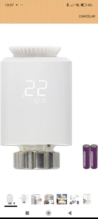 Termostato Inteligente Radiador