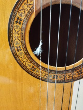 Guitarra Clásica Española
