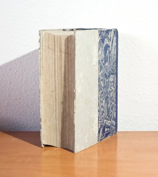 ENCICLOPEDIA AUTODIDÁCTICA. Ciencias, Letras, Arte
