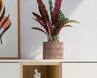 Maceta Decorativa