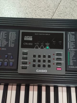 Teclado Casio CTK-496