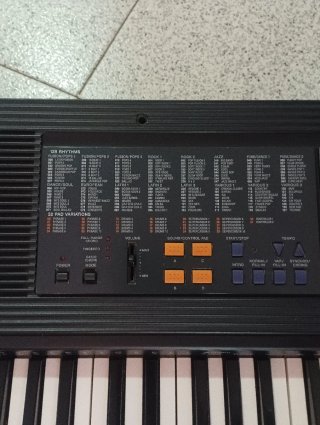 Teclado Casio CTK-496
