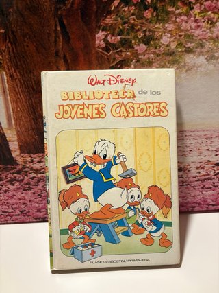 Libros de Walt Disney