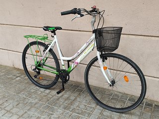 Bicicleta xl