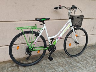 Bicicleta xl