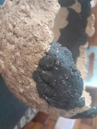 Maceta Bonsái Kurama Artesanal Cerámica
