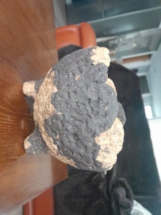 Maceta Bonsái Kurama Artesanal Cerámica