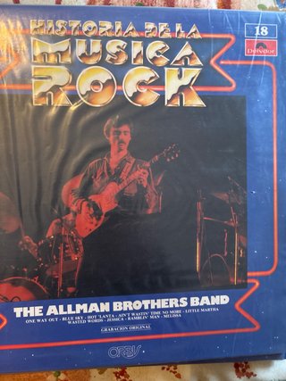Collezione di dischi in vinile