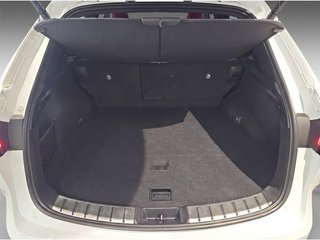 Lexus NX 450h+ F Sport 4WD