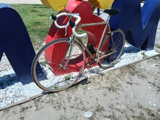 Bicicleta de carretera clásica Zeleris GAC