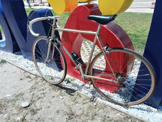 Bicicleta de carretera clásica Zeleris GAC