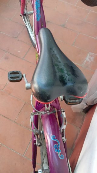 Bicicleta de niña ,22 pulgadas, envío por Seur