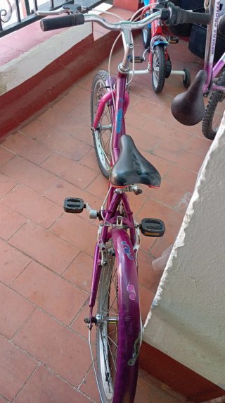 Bicicleta de niña ,22 pulgadas, envío por Seur