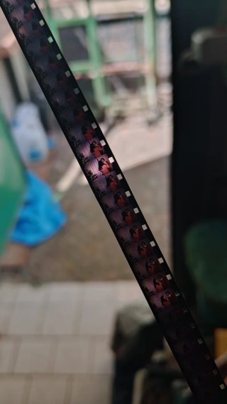 Pellicola 8mm
