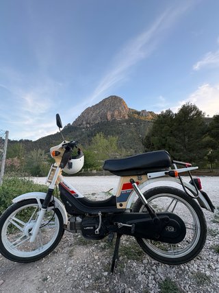 Suzuki Maxi 50