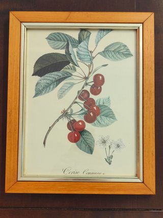 Coppia stampe vintage frutta con cornice legno
