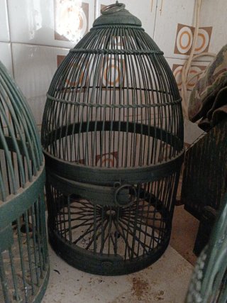 Jaulas perdiz