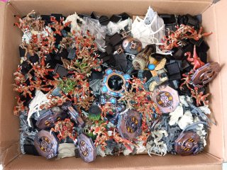 Caja Larga Miniaturas Warhammer Metal y Plástico