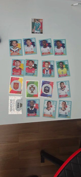 Panini Lote Raúl Jiménez BRONZE Extra