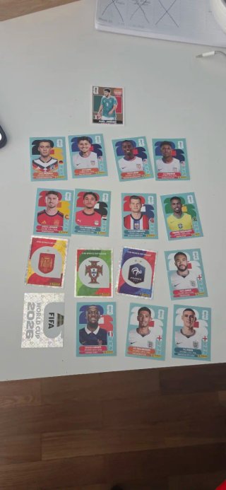 Panini Lote Raúl Jiménez BRONZE Extra