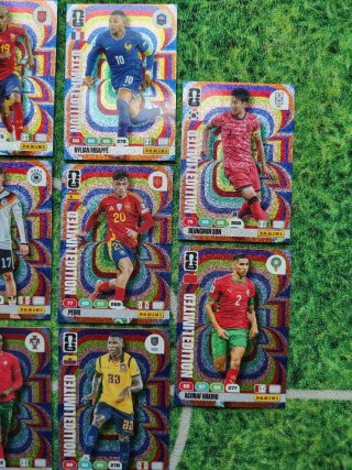 Lote 14 Ediciones Limitadas Adrenalyn XL Mundial
