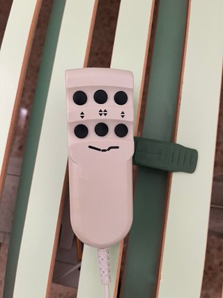 Cama articulada eléctrica con colchón