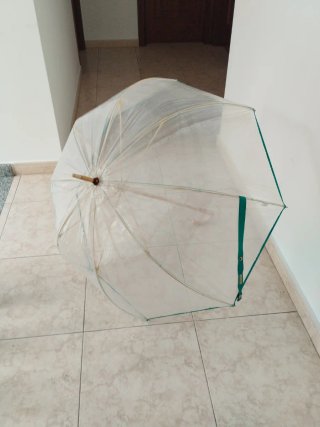 Paraguas transparente con detalles verdes