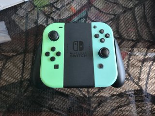 Nintendo Switch Edizione Animal Crossing