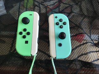 Nintendo Switch Edizione Animal Crossing