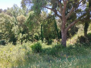 Terreno en venta Tordera, Terra brava 500metros