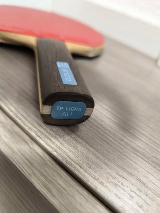 Pala de Tenis de Mesa Andro TP Ligna All