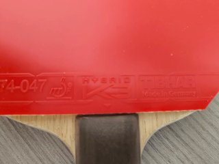 Pala de Tenis de Mesa Andro TP Ligna All