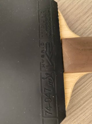 Pala de Tenis de Mesa Andro TP Ligna All