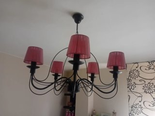 Elegante lámpara negra, tulipas regalo