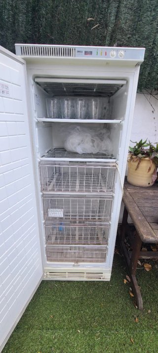 Congelatore verticale bianco