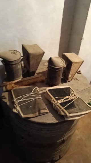 Lote de apicultura