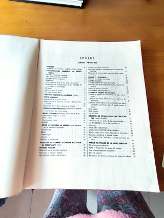 Método Completo Acordeón Anzaghi+ vinilos