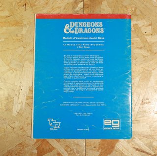 Dungeons & Dragons La Rocca sulle Terre di Confine