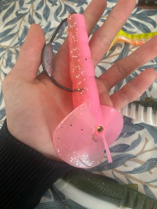 Vinilos pesca siluro