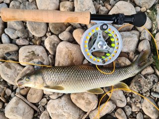 Canna e Mulinello per Pesca a Mosca Guideline Exceed
