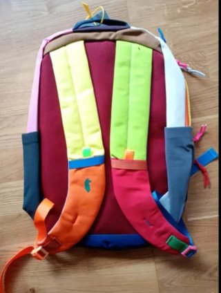 Mochila Cotopaxi Multicolor 16L