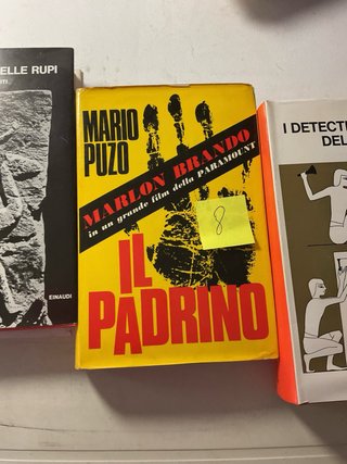 Romanzo Il padrino di Mario Puzo