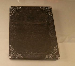 Resident Evil Village Ps5 (Steelbook)